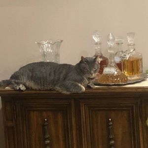 Meet your Posher, Caitlyn